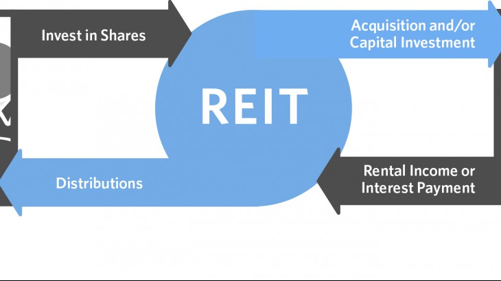 REIT versus Actual Ownership - Win With Real Estate